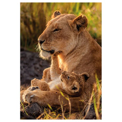Clementoni - Feline Love Puzzle - Puzzles - Alter 12+ - 500 Teile - CLM35615