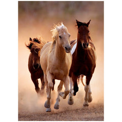 Clementoni High Quality Collection - Running Horses - 1000 Pcs Puzzle