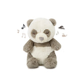 Cloud-B - White Noise Soothing Plush - Peaceful Panda - Stuffed Animals Age +0M - CDB7663-PP
