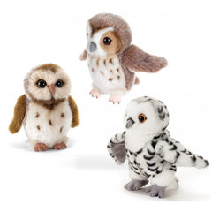 Plush & Co Booby Little Owl Plush 20 cm - Assorted