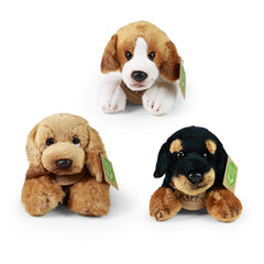 Rappa - Assortiment de chiens en peluche 18 cm ÉCO-RESPONSABLE - Animaux en peluche