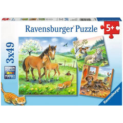 Ravensburger - Cuddle Time - 3x49 Pieces - Puzzles