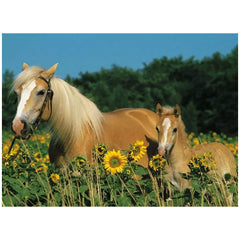 Ravensburger - Horse Happiness - 200 Pieces - Puzzles