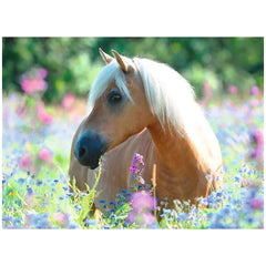Ravensburger - Horse In The Sea Of Flowers - 300 Pieces - Puzzles