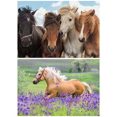 Ravensburger - Horse Love - 2x24 Pieces - Puzzles