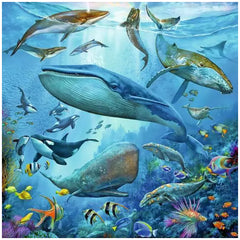 Ravensburger - Ocean Wildlife - 3x49 Pieces - Puzzles