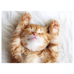 Ravensburger - Puzzles - Puppies 500pcs - Cardboard - 12+ Years - Educational Play