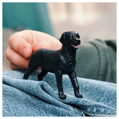 SCHLEICH - Femmina nera di Labrador Retriever - Action & Figurines - 3+ - 84414923