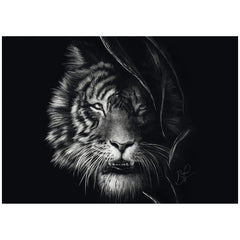 SCHMIDT SPIELE - Wilderness – Tiger: the epitome of freedom 1000 Pcs Adult puzzles - Puzzles