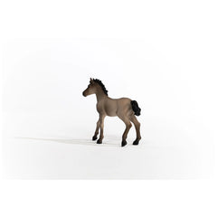 Schleich - Horse Club - Definitive Criollo Foal - Action & Toy Figures - 13949