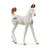 Schleich - Horse Club - Marwari Foal - Action & Toy Figures - 14896