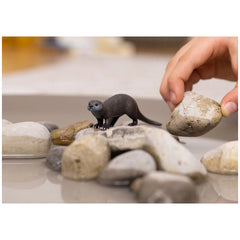 Schleich - Wild Life - Otter - Action & Toy Figures - 14865