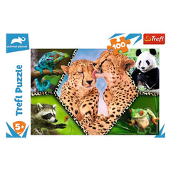 Trefl - Schöne Natur - Puzzles - +5 - TRF16424