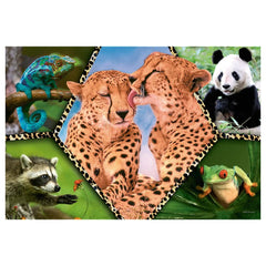 Trefl - Schöne Natur - Puzzles - +5 - TRF16424