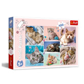 Trefl - 100-Piece Puzzle - In the World of Cats - Puzzles Age +5 - TRF16420