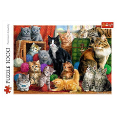 Trefl - 1000 Piece Puzzle - Feline Meeting - Puzzles Age +14 - TRF10555