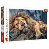 Trefl - 1000 Piece Puzzle - Sleeping Lion - Puzzles Age +14 - TRF10447