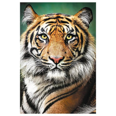 Trefl - 1500 Piece Puzzle - Portrait of a Tiger - Puzzles Age +14 - TRF26204