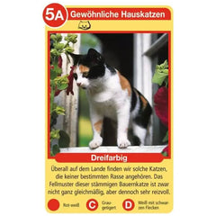 Ravensburger - Tierquartett Katzen - Kartenspiel