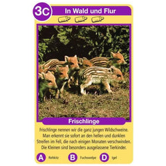 Ravensburger - Tierquartett Tierkinder - Kartenspiel