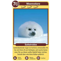 Ravensburger - Tierquartett Tierkinder - Kartenspiel