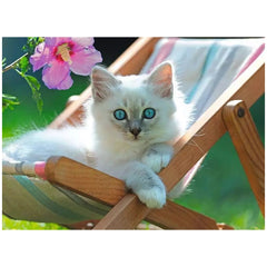 Ravensburger - White Kitten - 200 Pieces - Puzzles