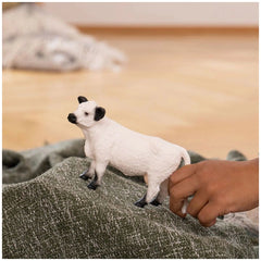 Schleich - Farm World - Galloway Cow - Action- und Spielzeugfiguren - 13960