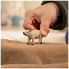 Caricamento in corso...