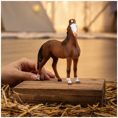 Schleich - Horse Club - Marwari Mare - Action & Toy Figures - 14897