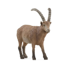 Schleich - Wild Life - Ibex - Action & Toy Figures - 14873