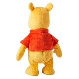 Mattel - Disney Winnie the Pooh Your Friend Pooh Feature Plush
