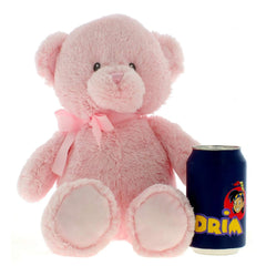 Pink plush teddy bear with a bow sits next to a blue soda can for size comparison.