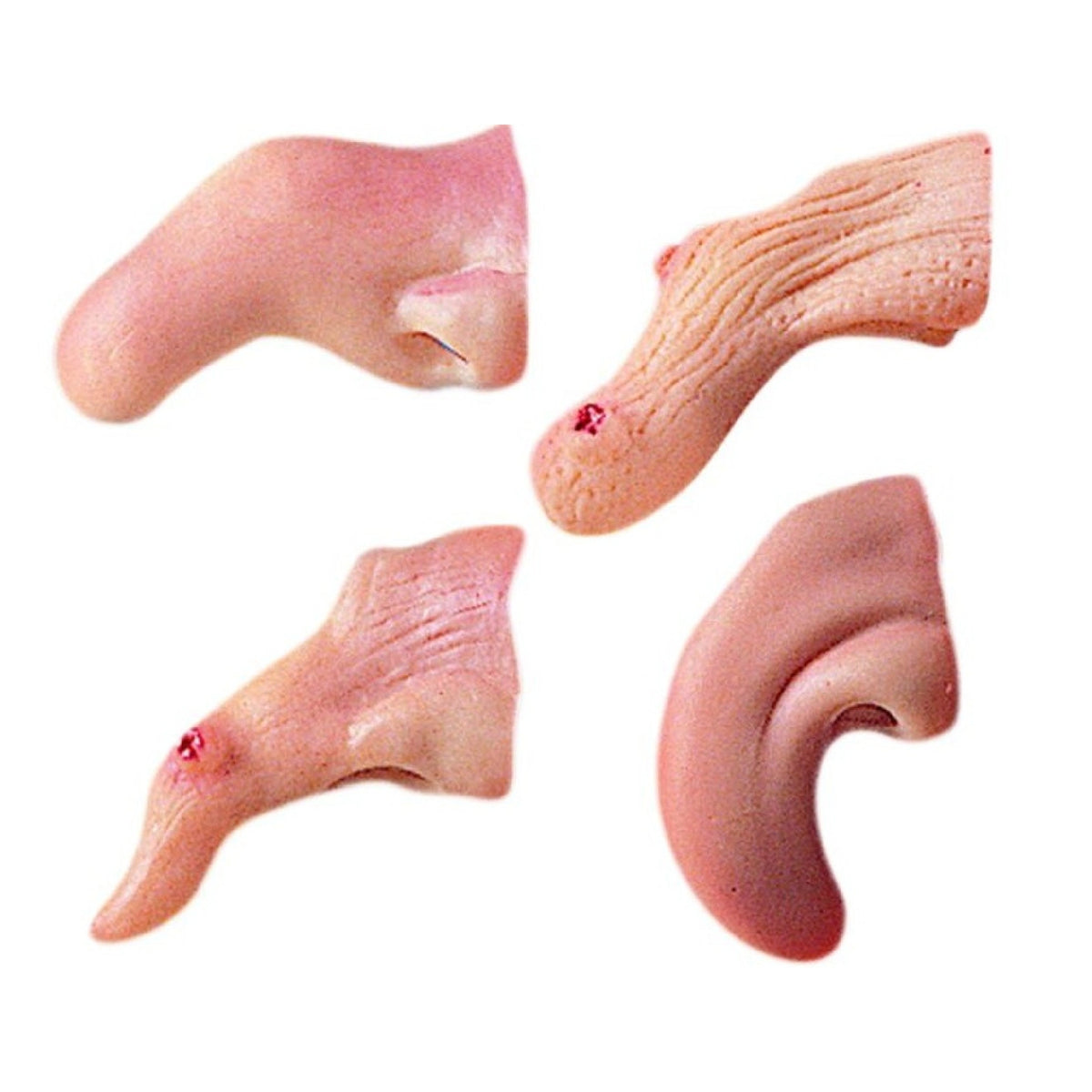 Carnival Toys - Witch Nose Prosthetic For Creative Dress Up Fun - Pretend Professions And Role Playing