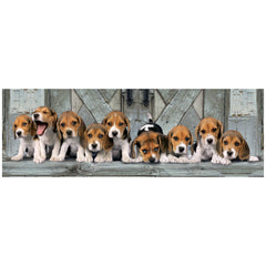Clementoni High Quality Collection - Beagles 1000 Pcs Puzzle Panorama