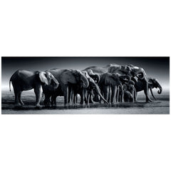 Clementoni High Quality Collection - Herd Of Giants 1000 Pcs Puzzle Panorama