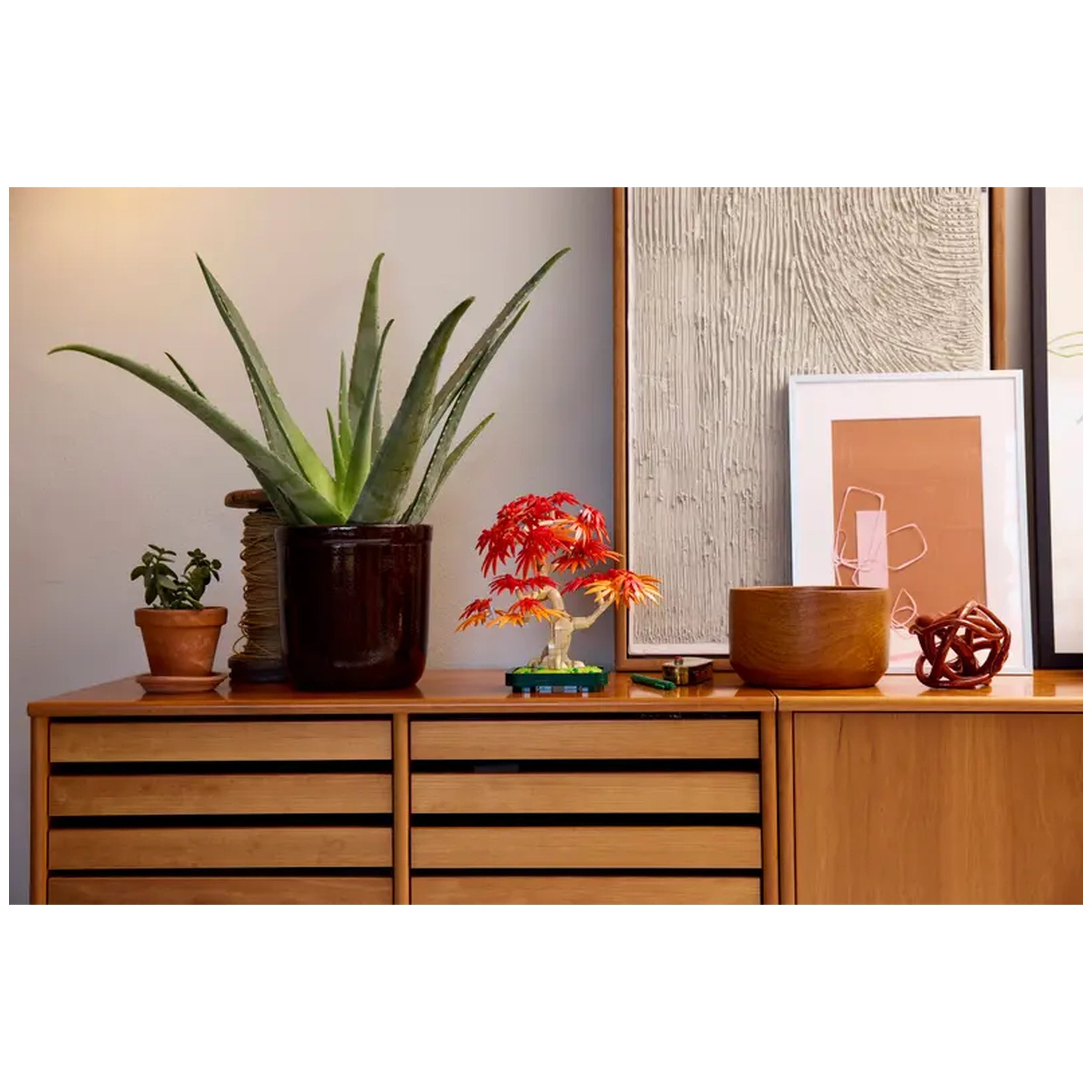 A beautifully arranged shelf displaying a LEGO® Botanicals Japanese Red Maple Bonsai Tree with vibrant red and orange leaves, alongside an aloe vera plant in a dark pot, a small green plant in a terracotta pot, an art print, and decorative wooden bowls.