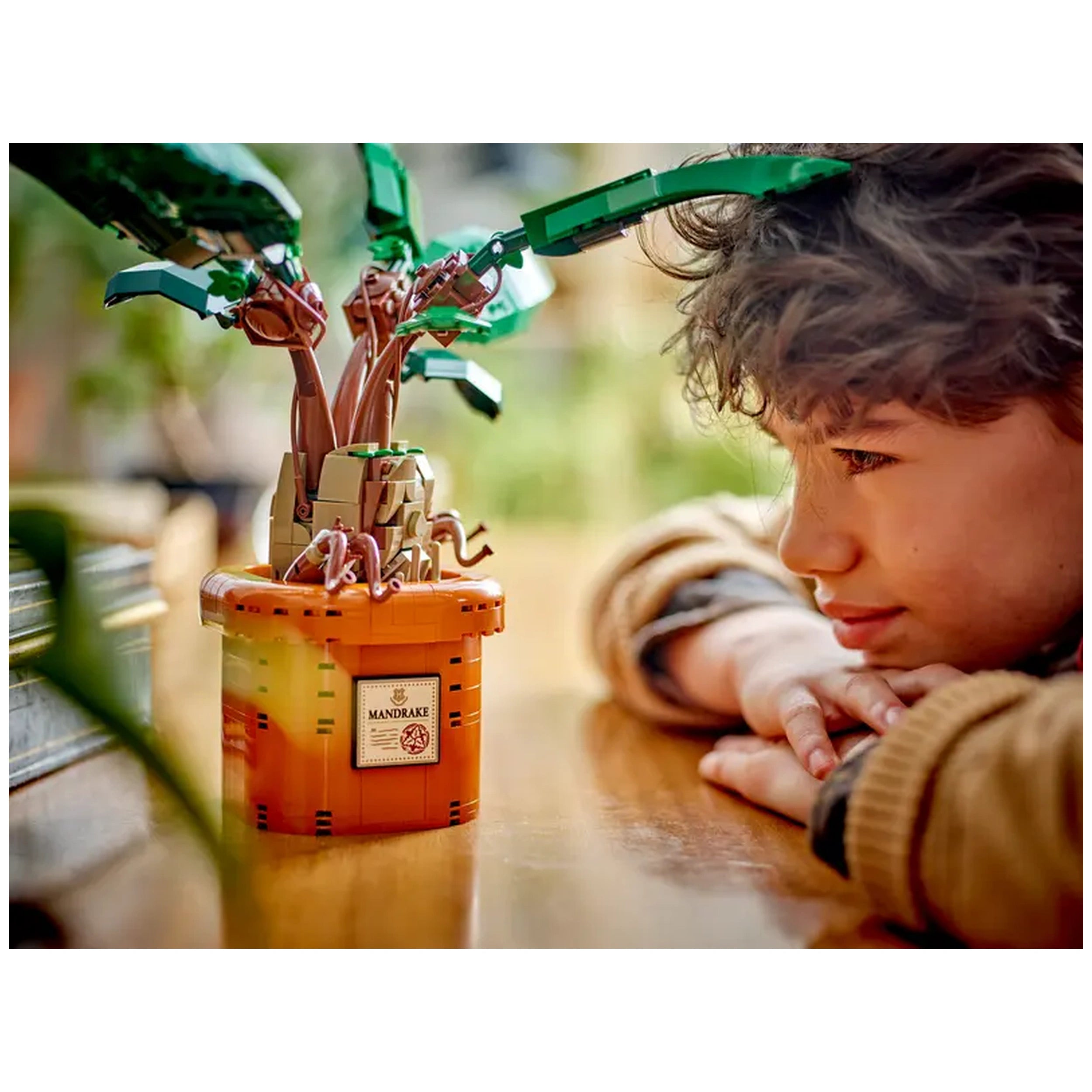 Lego - Harry Potter - Mandrake - Construction Set Toys