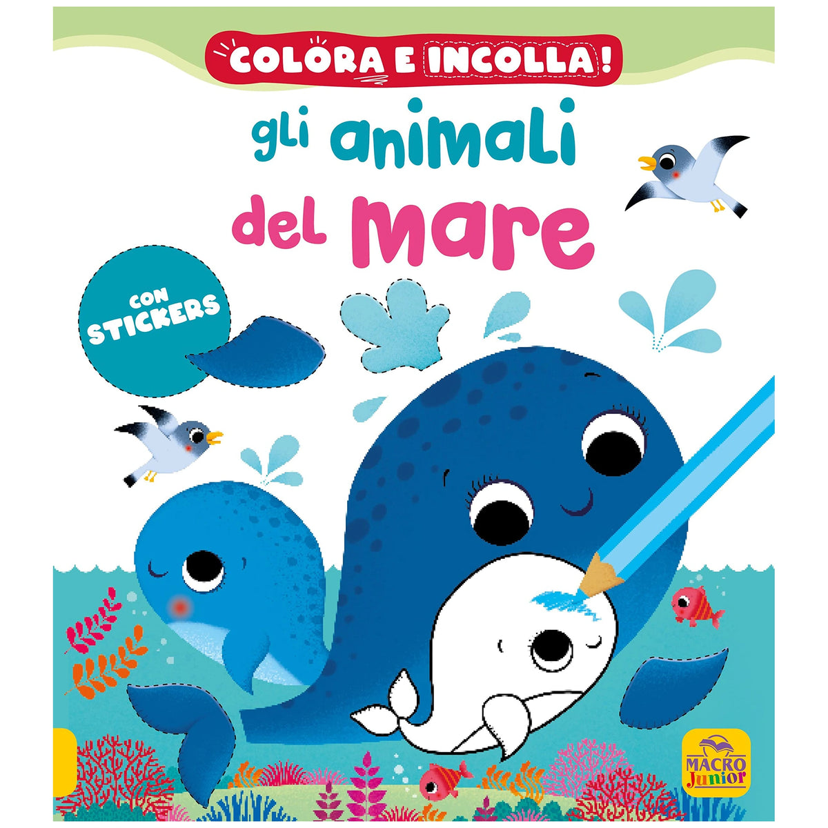 MACRO JUNIOR - Livre de coloriage sur les animaux marins - Livres