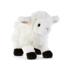 Plush & Co - Kirack the Little Lamb Plush 21 cm - Stuffed Animals