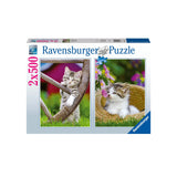Ravensburger 2 in 1 Puzzle Little Cats 2x500 Pieces