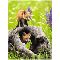 Ravensburger - Naughty Foxes - 300 Pieces - Puzzles