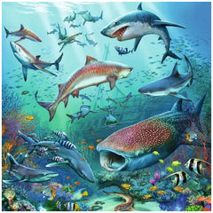 Ravensburger - Ocean Wildlife - 3x49 Pieces - Puzzles