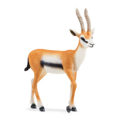 Schleich - Wild Life - Gazelle Thomson - Action & Toy Figures - 14861