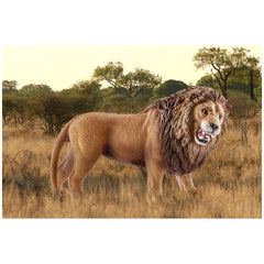 Schleich - Wild Life - Lion Roaring - Action & Toy Figures - 14726