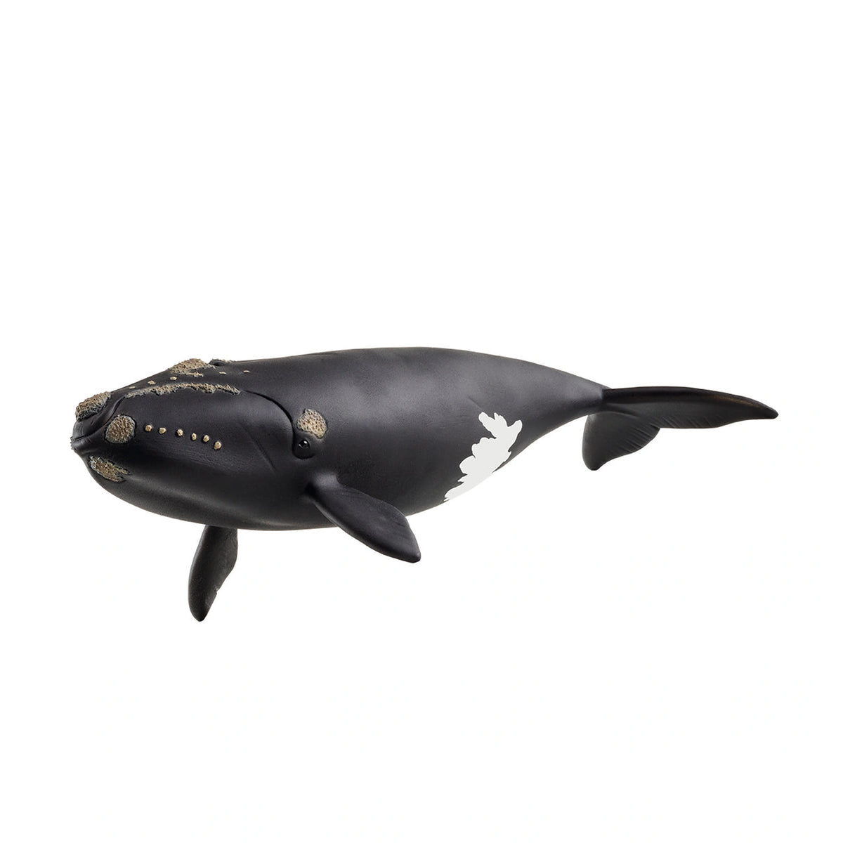 Schleich - Wild Life - North Atlantic Right Whale - Action & Toy Figures - 14878