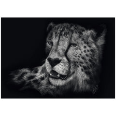 Schmidt Spiele - Speed ​​- Cheetah, in het teken van genade 1000 stukjes - puzzels