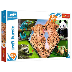 Trefl - Schöne Natur - Puzzles - +5 - TRF16424