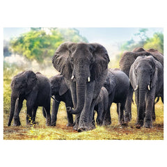 Trefl - 1000 Piece Puzzle - African Elephants - Puzzles Age +14 - TRF10442