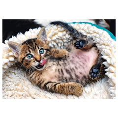 Trefl - 1000 Piece Puzzle - Cheerful Kitten - Puzzles Age +14 - TRF10448