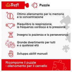 Trefl - 1000-Piece Puzzle - Procida Island by Night, Italy - Puzzles Age +14 - TRF10794
